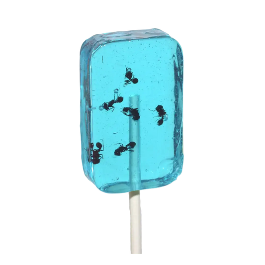 Hotlix | Ant-lix Suckers - Blueberry Shack à Sauce