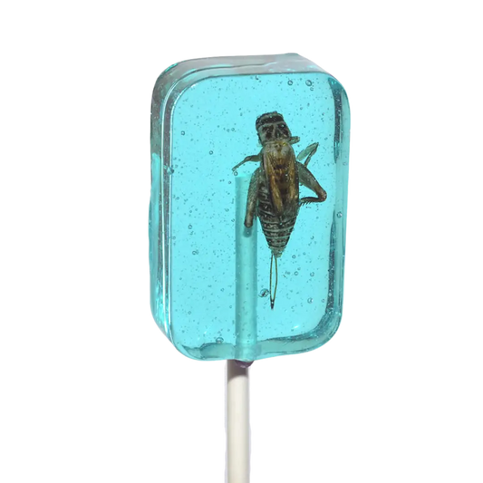 Hotlix | Cricket Lickit Suckers - Blueberry Shack à Sauce