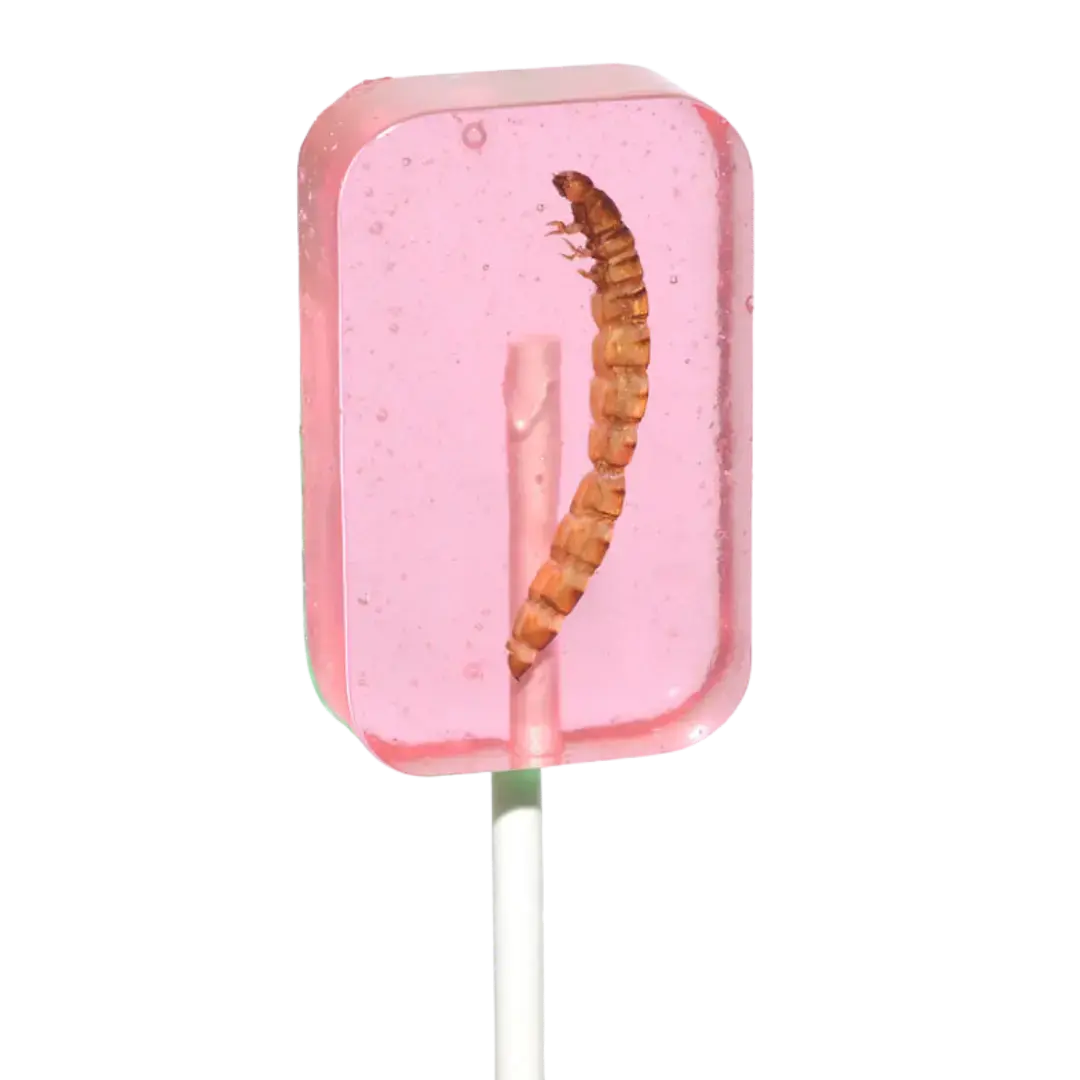 Hotlix | Worm Suckers - Watermelon Shack à Sauce